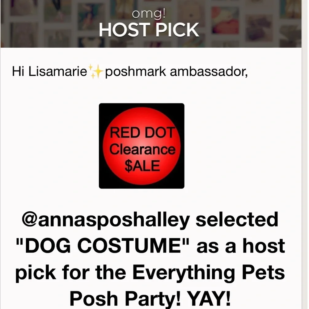 DOG HALLOWEEN COSTUME